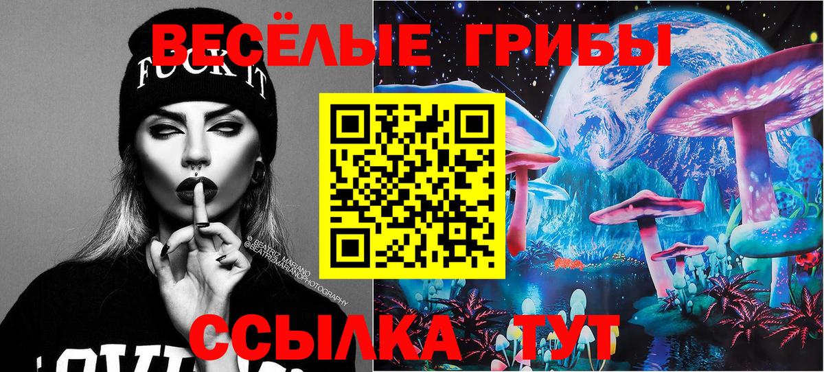 купить закладку  Вход с VPN  Белореченск  Галлюциногенные грибы мицелий 